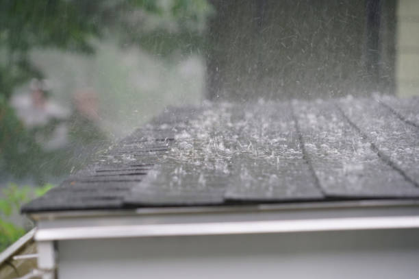 Best Roof Insulation Installation  in Turners Falls, MA